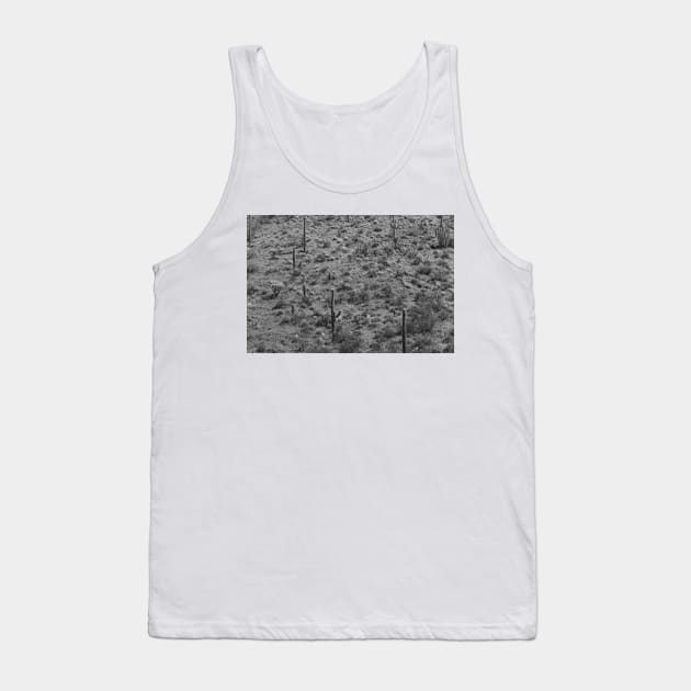 Saguaro Cacti Organ Pipe Cactus National Monument Tank Top by RhysDawson